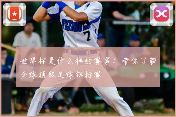 世界杯是什么样的赛事？带你了解全球顶级足球锦标赛