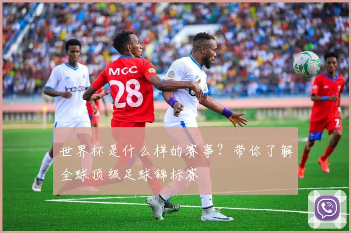 世界杯是什么样的赛事？带你了解全球顶级足球锦标赛