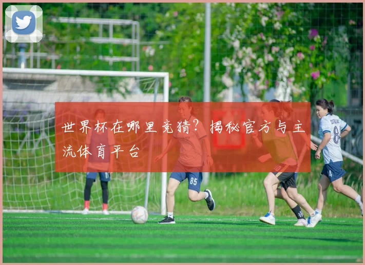 世界杯在哪里竞猜?揭秘官方与主流体育平台