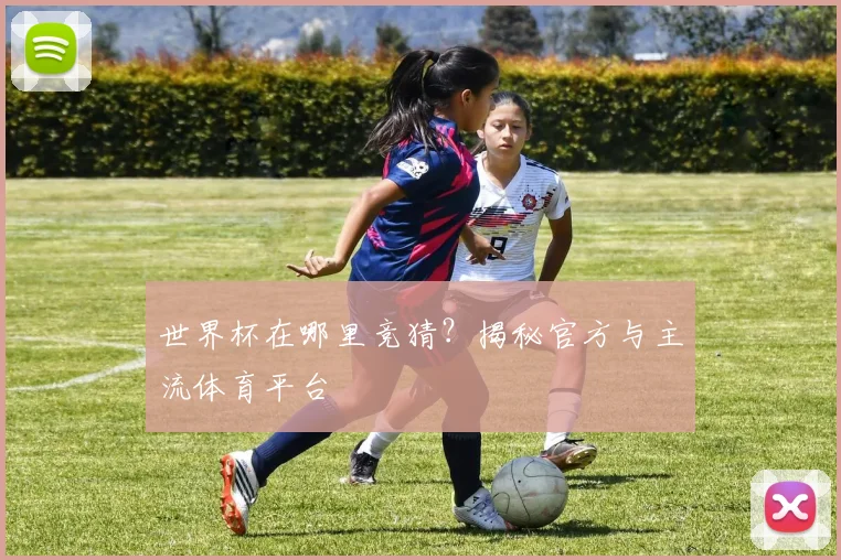 世界杯在哪里竞猜?揭秘官方与主流体育平台