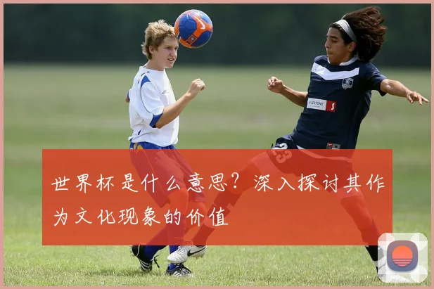 世界杯是什么意思？深入探讨其作为文化现象的价值