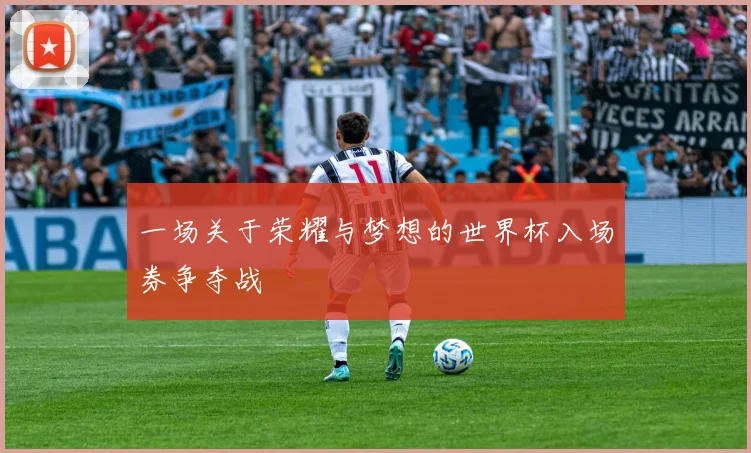 一场关于荣耀与梦想的世界杯入场券争夺战