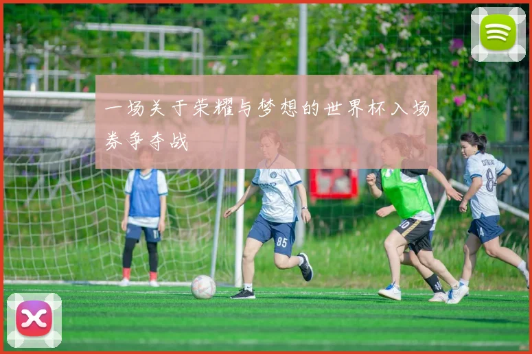 一场关于荣耀与梦想的世界杯入场券争夺战