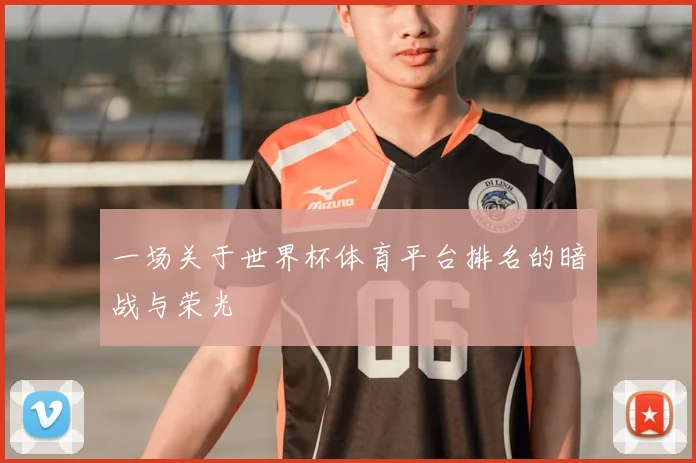一场关于世界杯体育平台排名的暗战与荣光