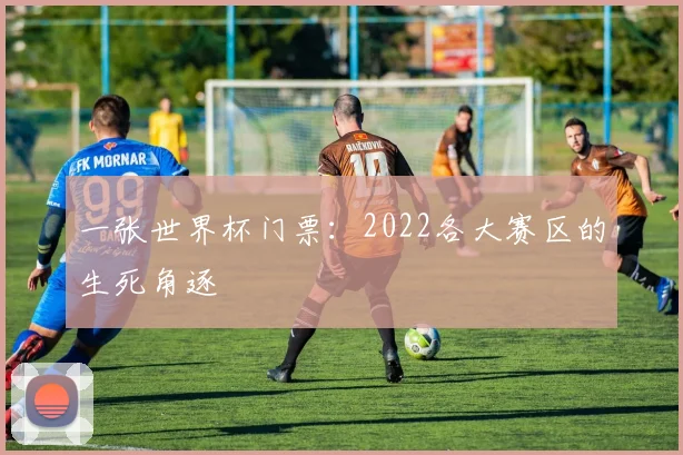 一张世界杯门票：2022各大赛区的生死角逐