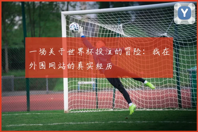 一场关于世界杯投注的冒险:我在外围网站的真实经历