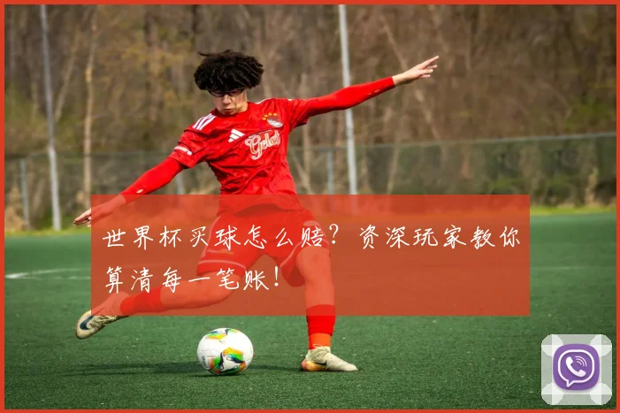 世界杯买球怎么赔？资深玩家教你算清每一笔账！